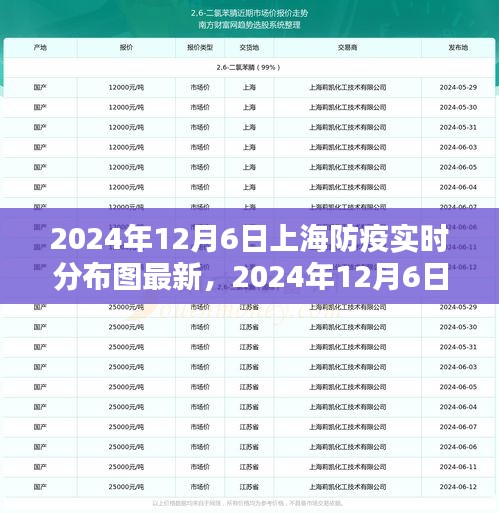 最新指南，2024年12月6日上海防疫实时分布图查询流程详解