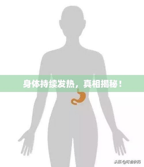 身体持续发热，真相揭秘！