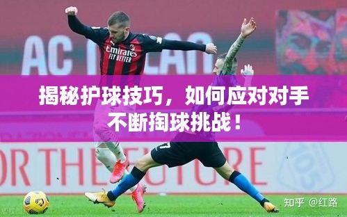 揭秘护球技巧，如何应对对手不断掏球挑战！