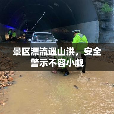 admin 第7页