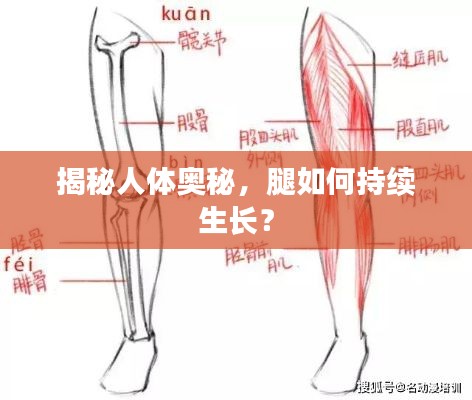 danpiaolouxiang 第6页