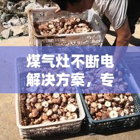 煤气灶不断电解决方案，专业解决灶具故障，轻松应对断电困扰