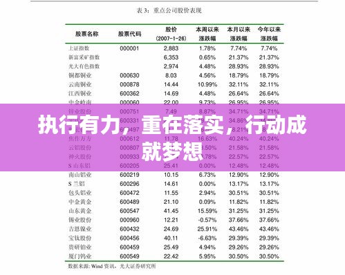 执行有力，重在落实，行动成就梦想