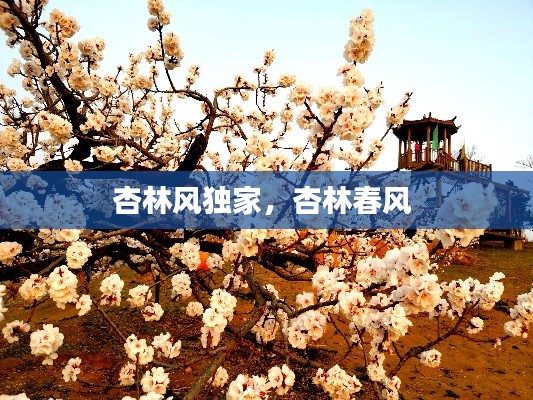 jingchaibuqun 第7页
