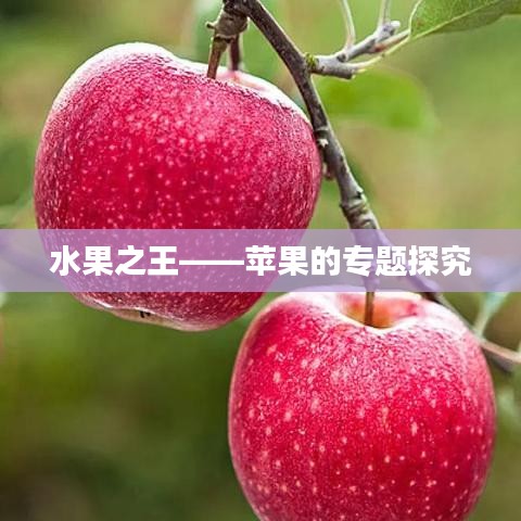 feiqiandongzhi 第7页