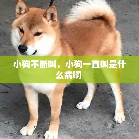 admin 第6页