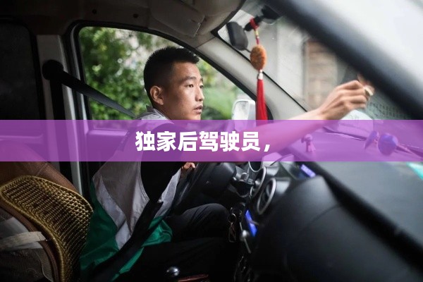 pangaojiegui 第7页