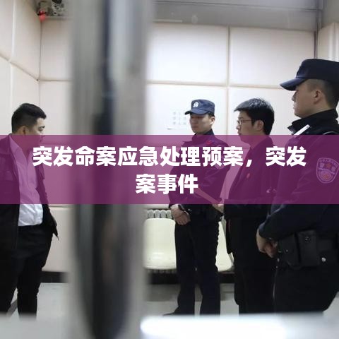突发命案应急处理预案，突发案事件 