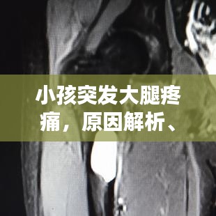 评价 第107页