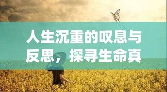 人生沉重的叹息与反思，探寻生命真谛