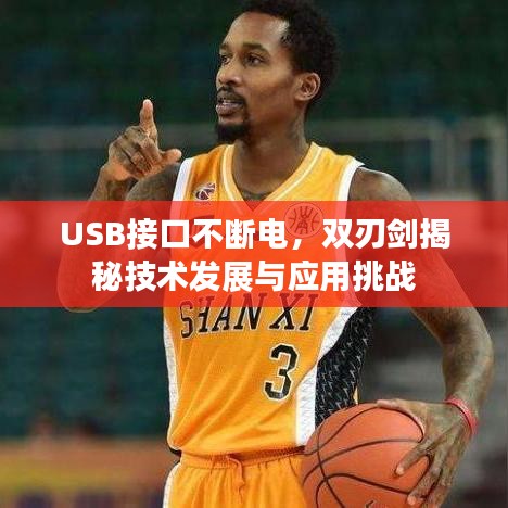 USB接口不断电，双刃剑揭秘技术发展与应用挑战
