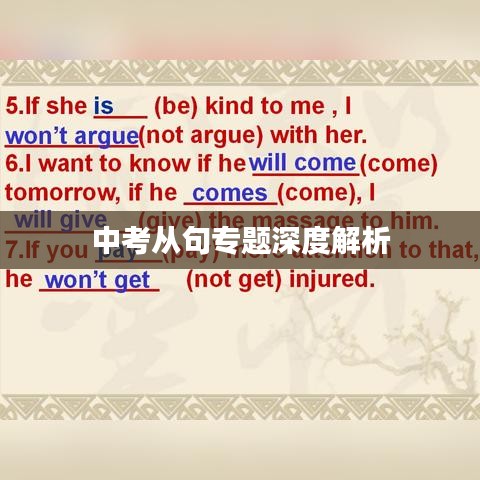 中考从句专题深度解析