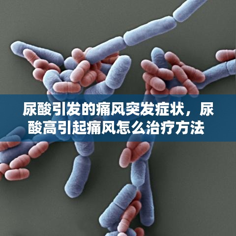gangqiemuzhang 第6页