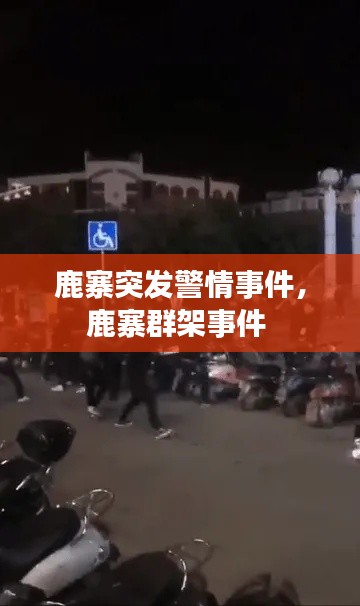 buyierfei 第5页