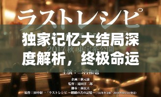 独家记忆大结局深度解析，终极命运与情感归宿揭秘，第46集精彩呈现！