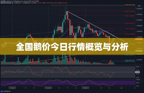 全国鹅价今日行情概览与分析