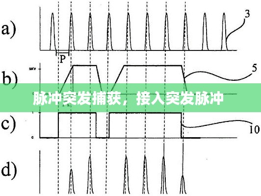 chenmuzhangdan 第5页