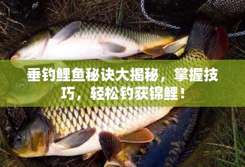 垂钓鲤鱼秘诀大揭秘，掌握技巧，轻松钓获锦鲤！