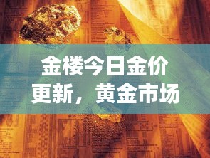 金楼今日金价更新，黄金市场动态及未来展望分析