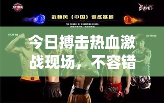 今日搏击热血激战现场，不容错过的最新消息视频！