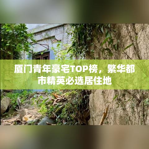 评价 第89页
