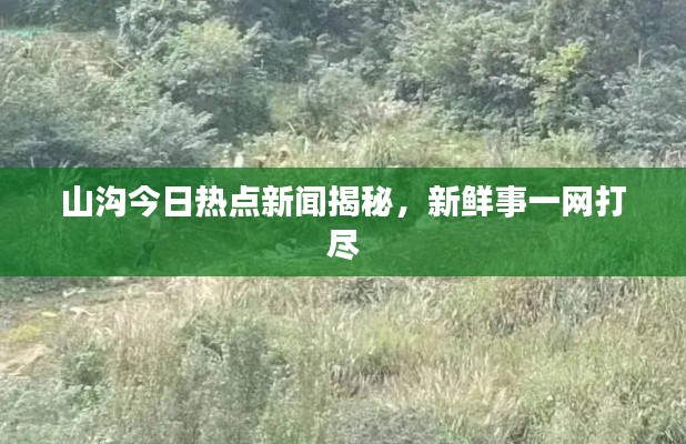 hubeixiongyao 第4页
