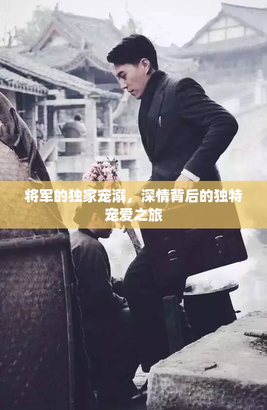 将军的独家宠溺，深情背后的独特宠爱之旅