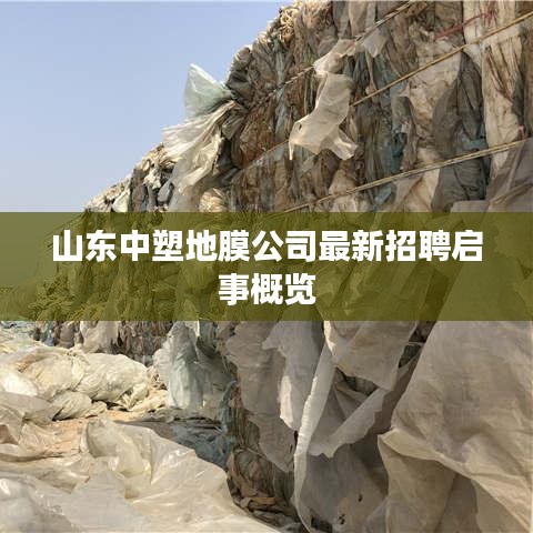 浅笑轻吟梦一曲 第5页