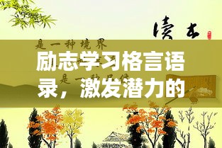 产品 第78页