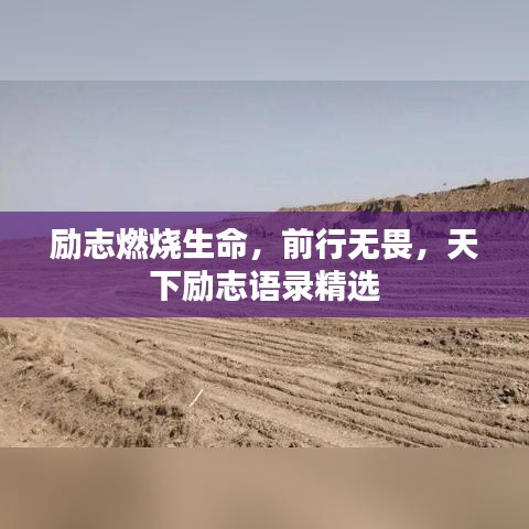 励志燃烧生命，前行无畏，天下励志语录精选