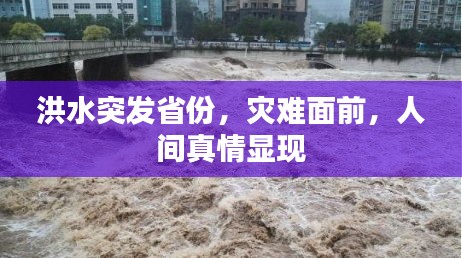 houniaonanfei 第5页