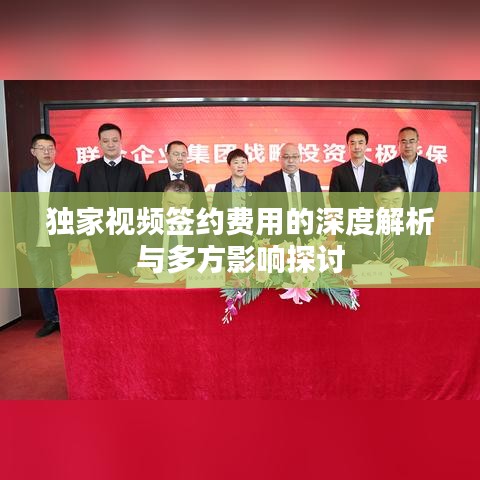 独家视频签约费用的深度解析与多方影响探讨