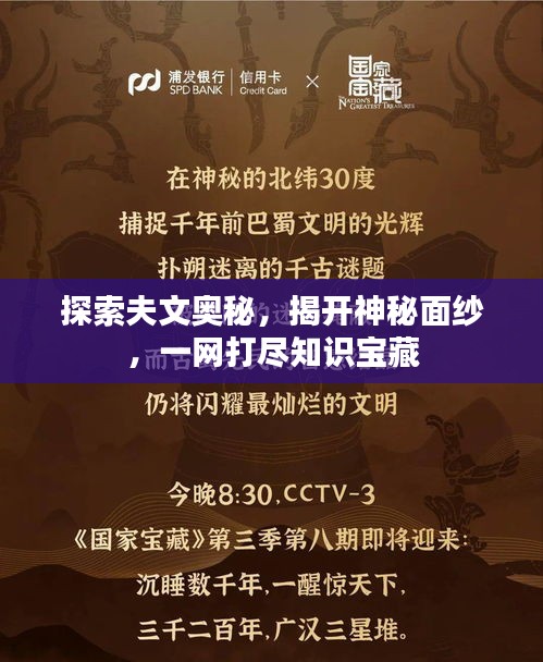 探索夫文奥秘，揭开神秘面纱，一网打尽知识宝藏