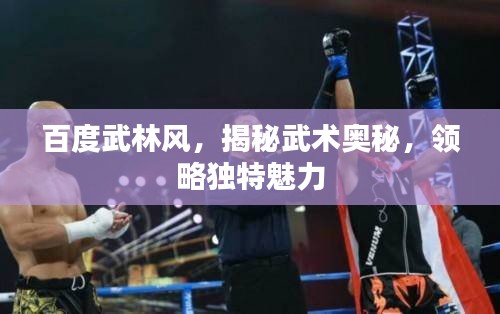 百度武林风，揭秘武术奥秘，领略独特魅力