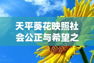 天平葵花映照社会公正与希望之光，新闻头条下的时代风采