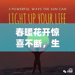 春暖花开惊喜不断，生命的活力与喜悦瞬间视频记录