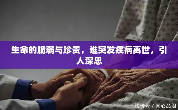 评价 第64页