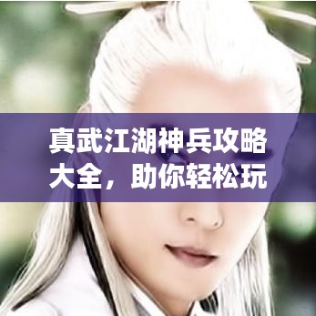 案例 第51页