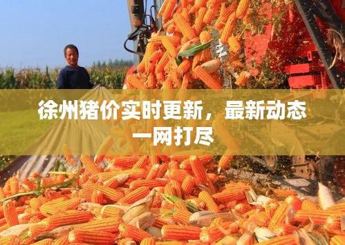 shengzhangshuwei 第3页