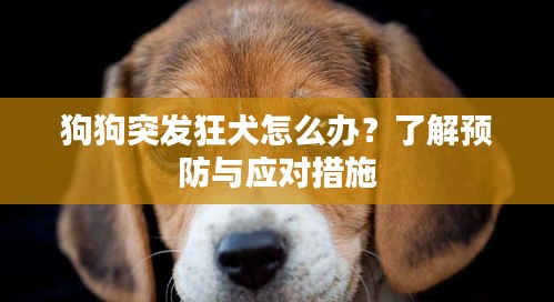 花开无言 第2页