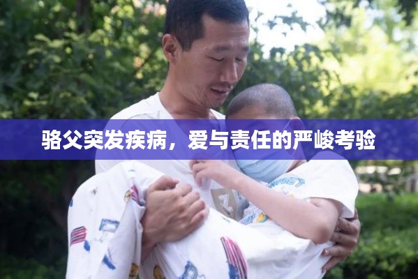 评价 第45页