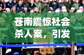 苍南震惊社会杀人案，引发各界深思与关注
