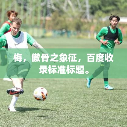 huosangaozhang 第3页