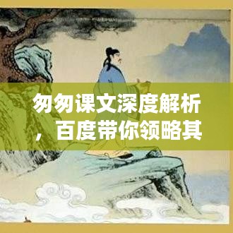 案例 第43页