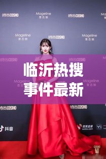 临沂热搜事件最新动态更新，揭秘今日热点内幕