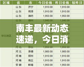 南丰最新动态速递，今日消息一网打尽！