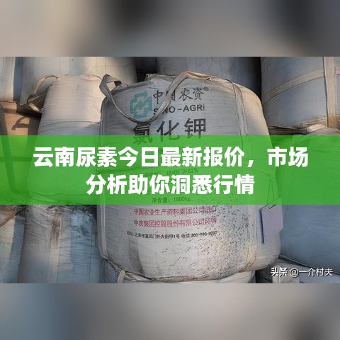 云南尿素今日最新报价，市场分析助你洞悉行情