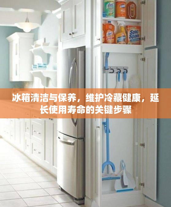 冰箱清洁与保养，维护冷藏健康，延长使用寿命的关键步骤
