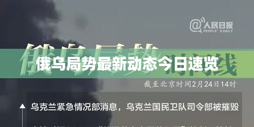 buweiquangui 第3页
