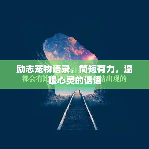 zhuodiaoweipu 第3页